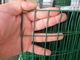 হট ডাব্লু জেলভাইজড ওয়েলেডেড তারের জাল স্কয়ার হল আকৃতি 0.15 মিমি -14 মিমি গেজ সরবরাহকারী